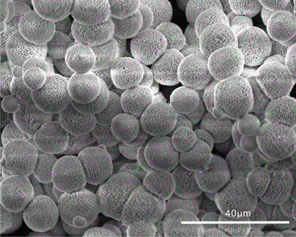 Preparation method of regulable basic cupric carbonate micro-nano hierarchical structure