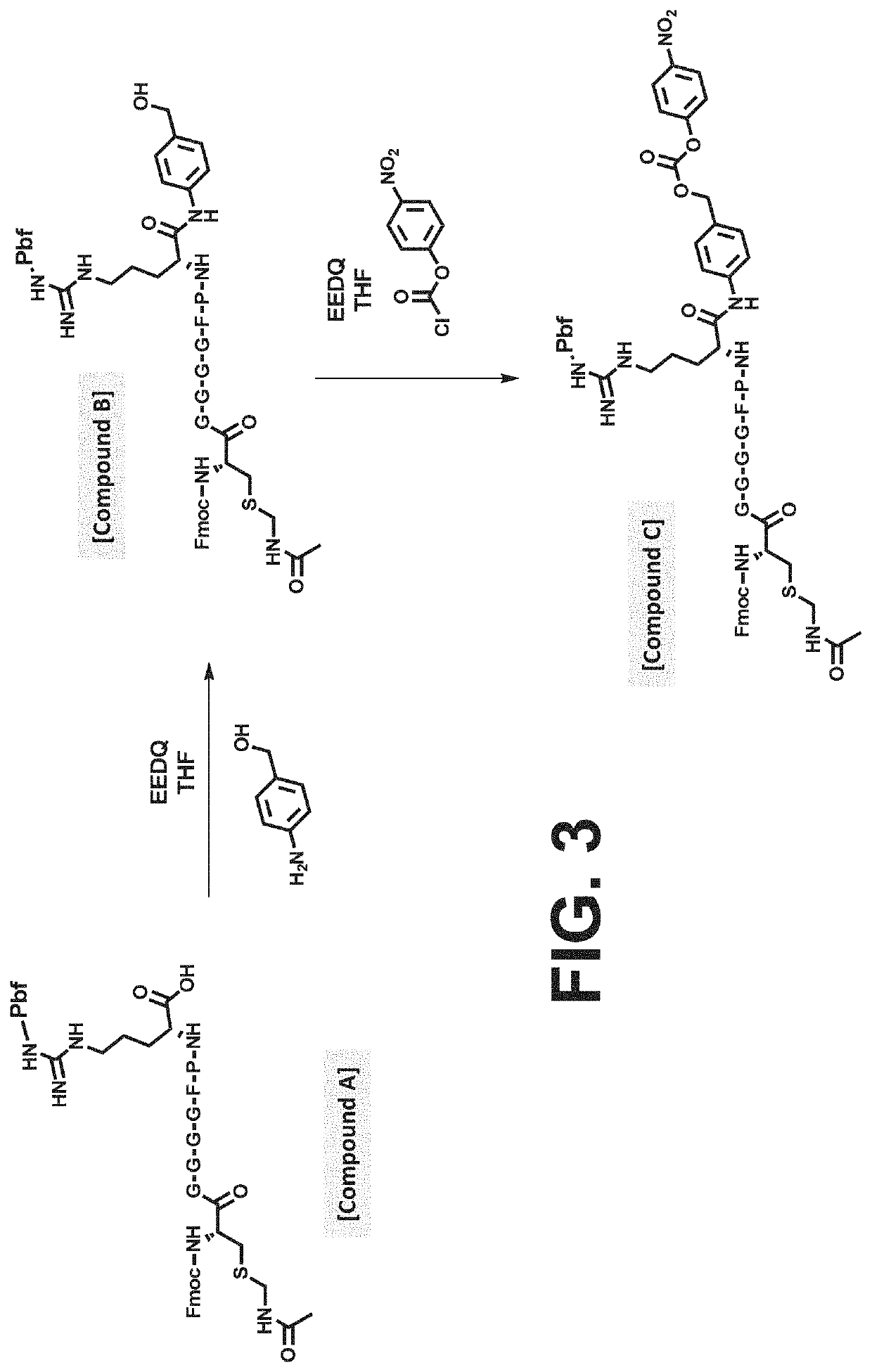 Procoagulant compounds