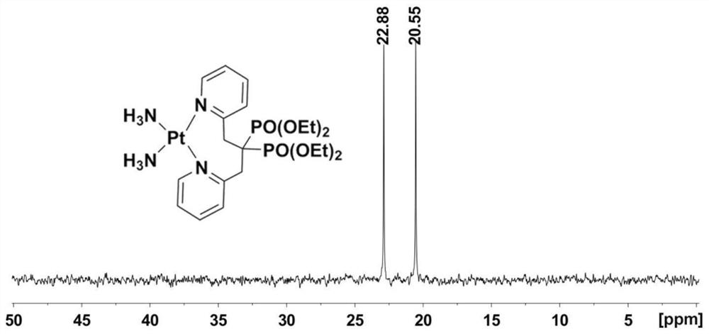 Platinum diphosphonate complex as well as synthesis method and application thereof
