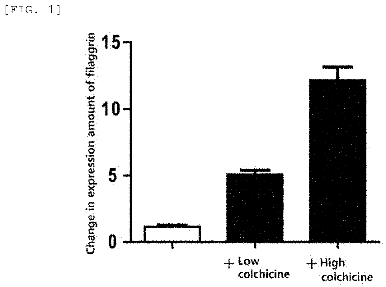 Method for treating allergic skin disease or pruritus cutaneous