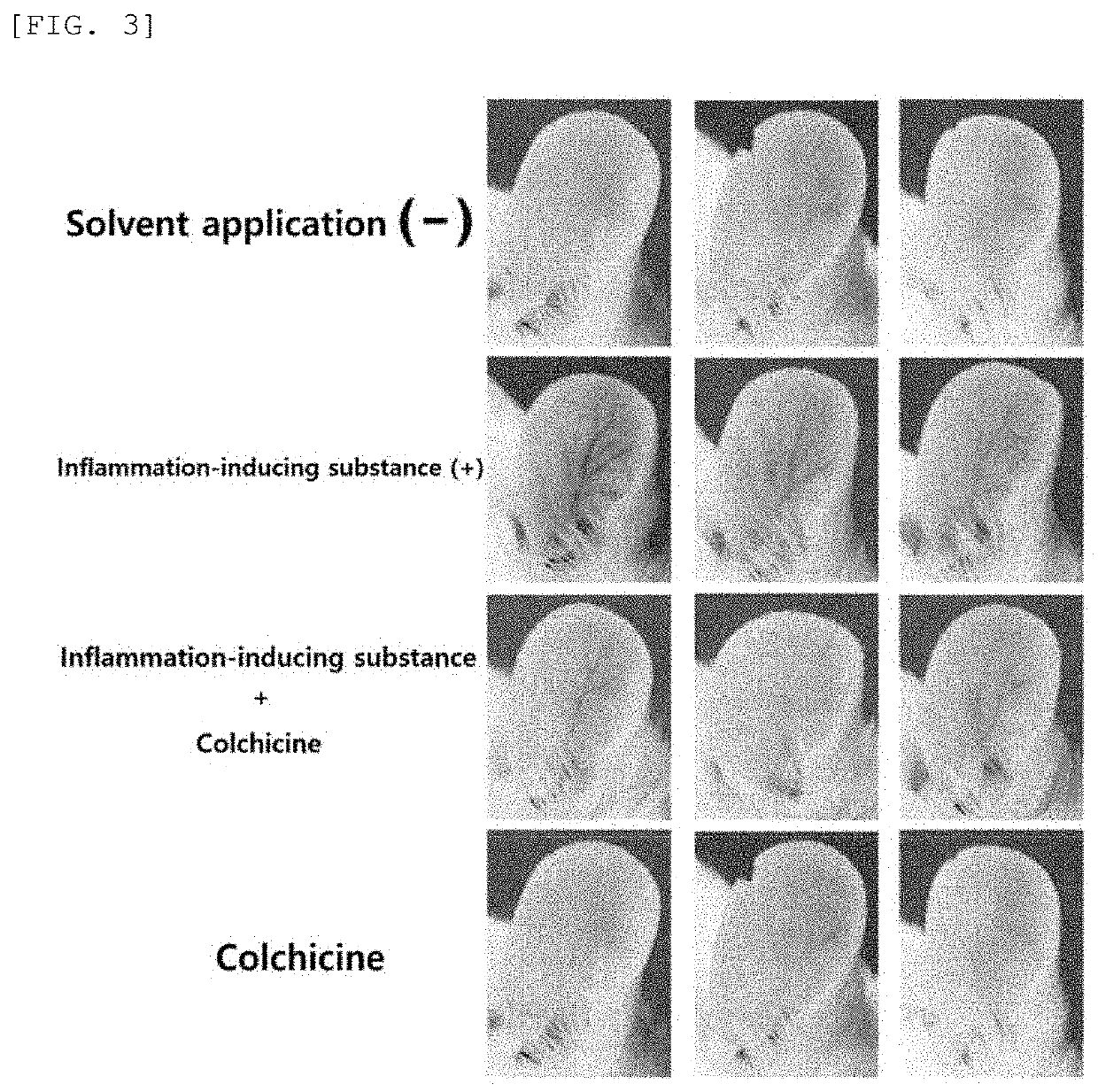 Method for treating allergic skin disease or pruritus cutaneous