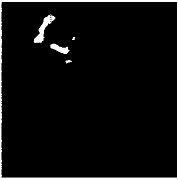 Image guide method implemented by aid of two-dimensional images