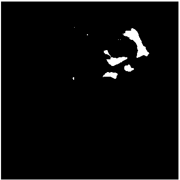 Image guide method implemented by aid of two-dimensional images