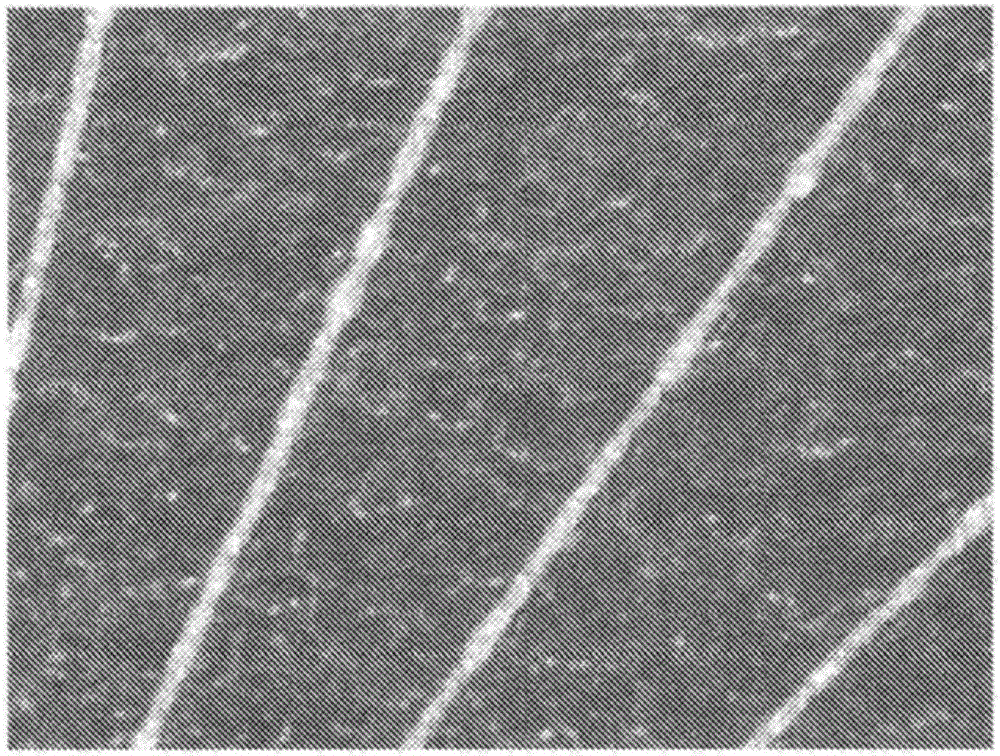 Silver particle coating composition