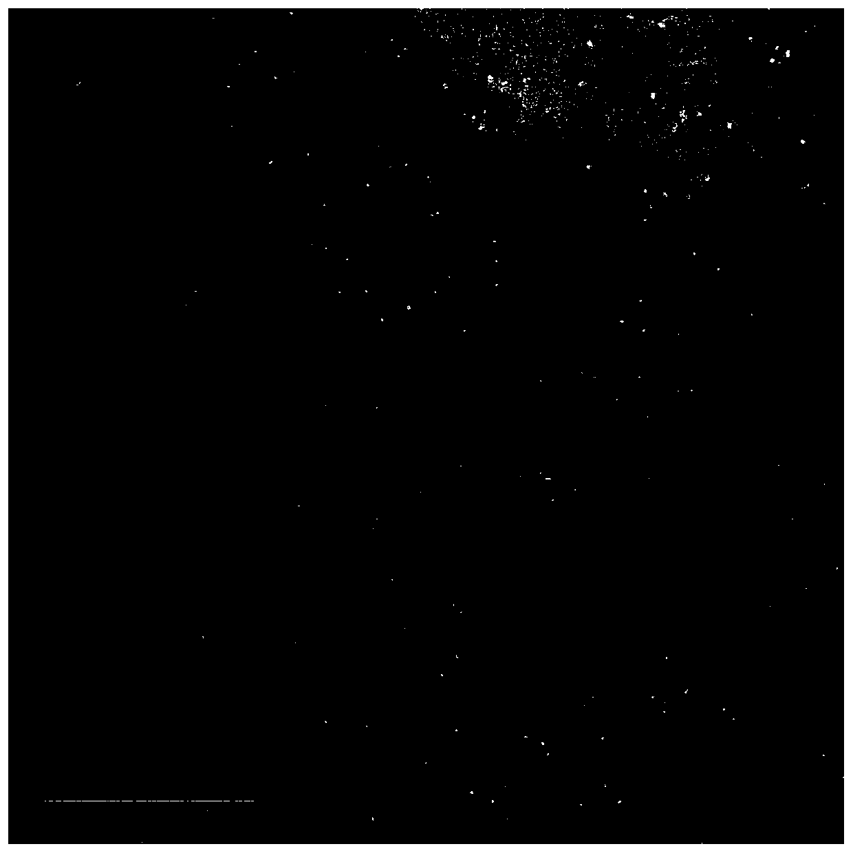 Method for synthesizing monatomic catalyst, monatomic catalyst and application