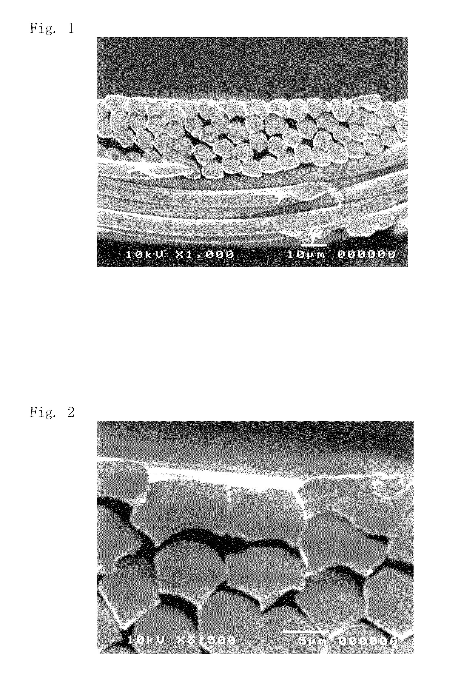 Base fabric for stent graft, and stent graft