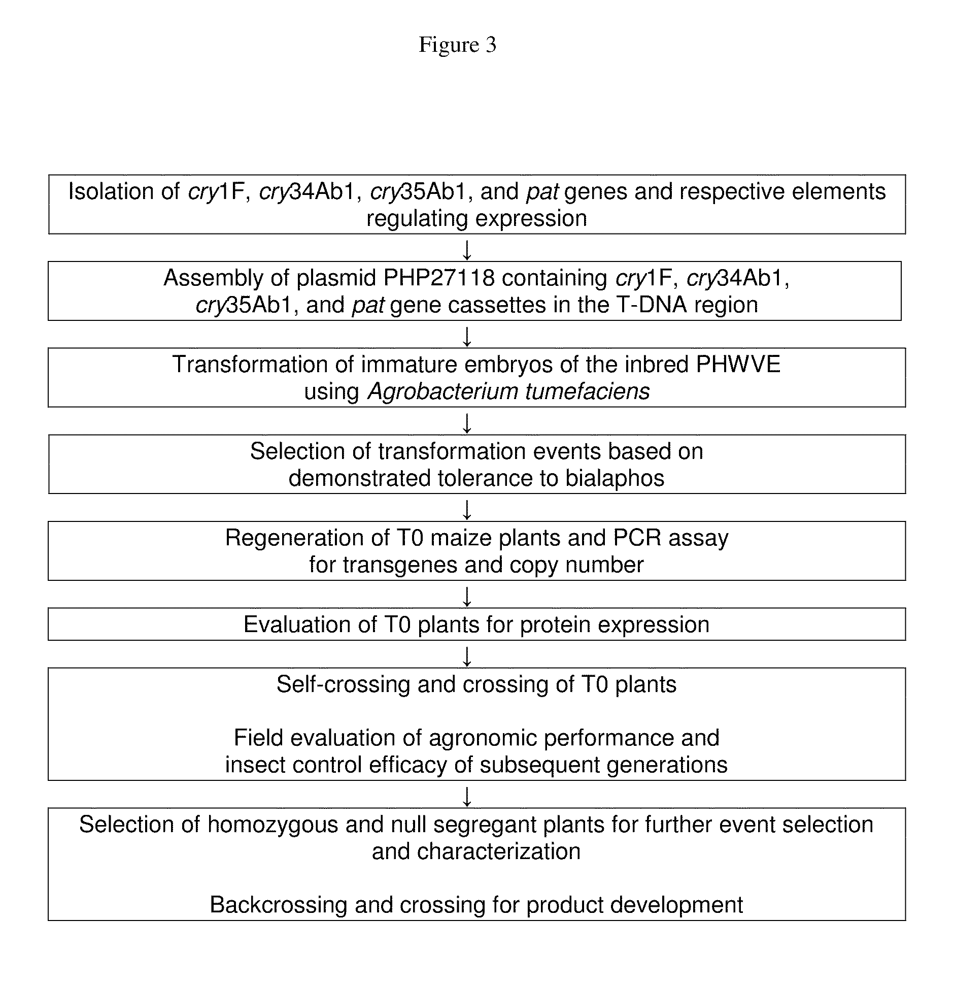 Maize event DP-004114-3 and methods for detection thereof