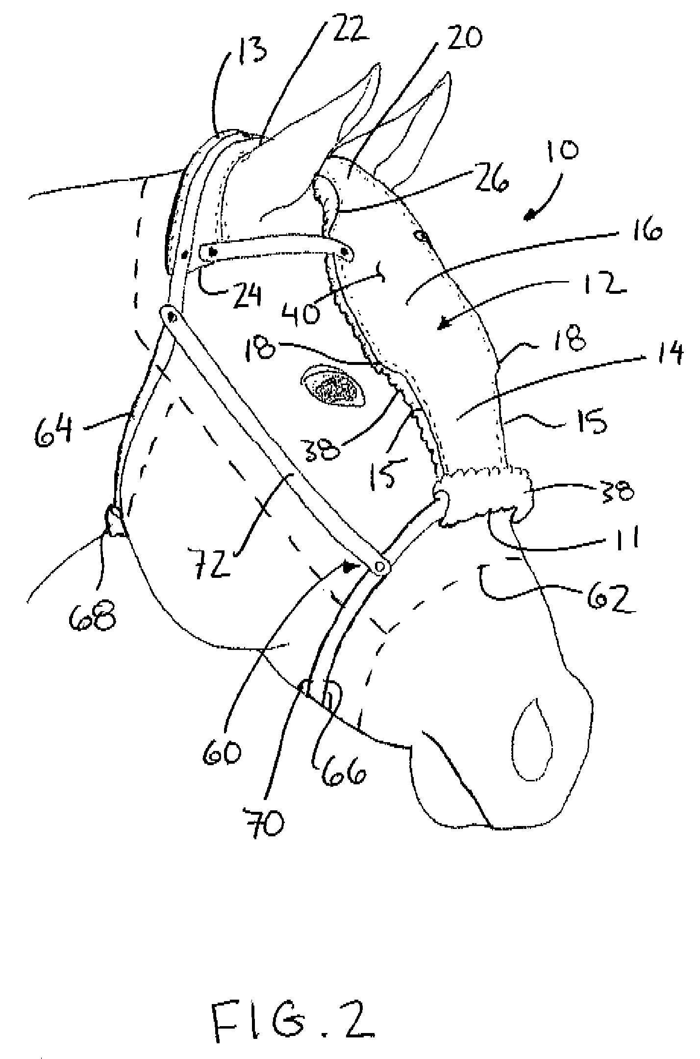 Apparatus and method for equine facial protection