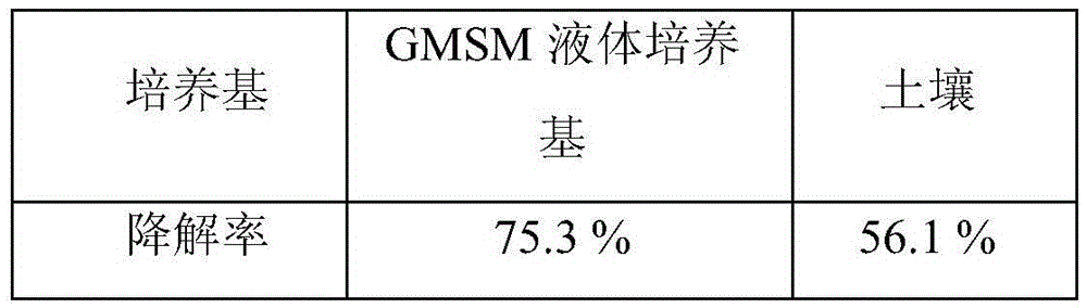 Metribuzin pesticide residue degrading bacteria, microbial agent produced through same and application of metribuzin pesticide residue degrading bacteria