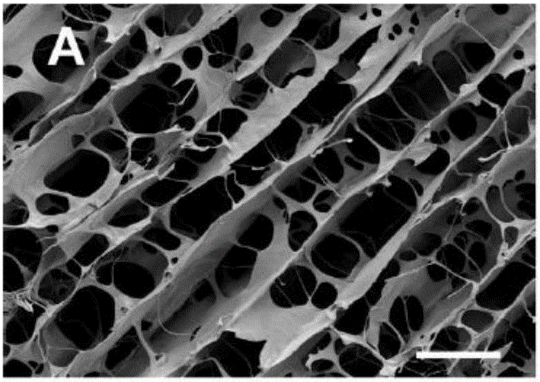 High-simulation tissue engineering nerve repairing scaffold and making method thereof