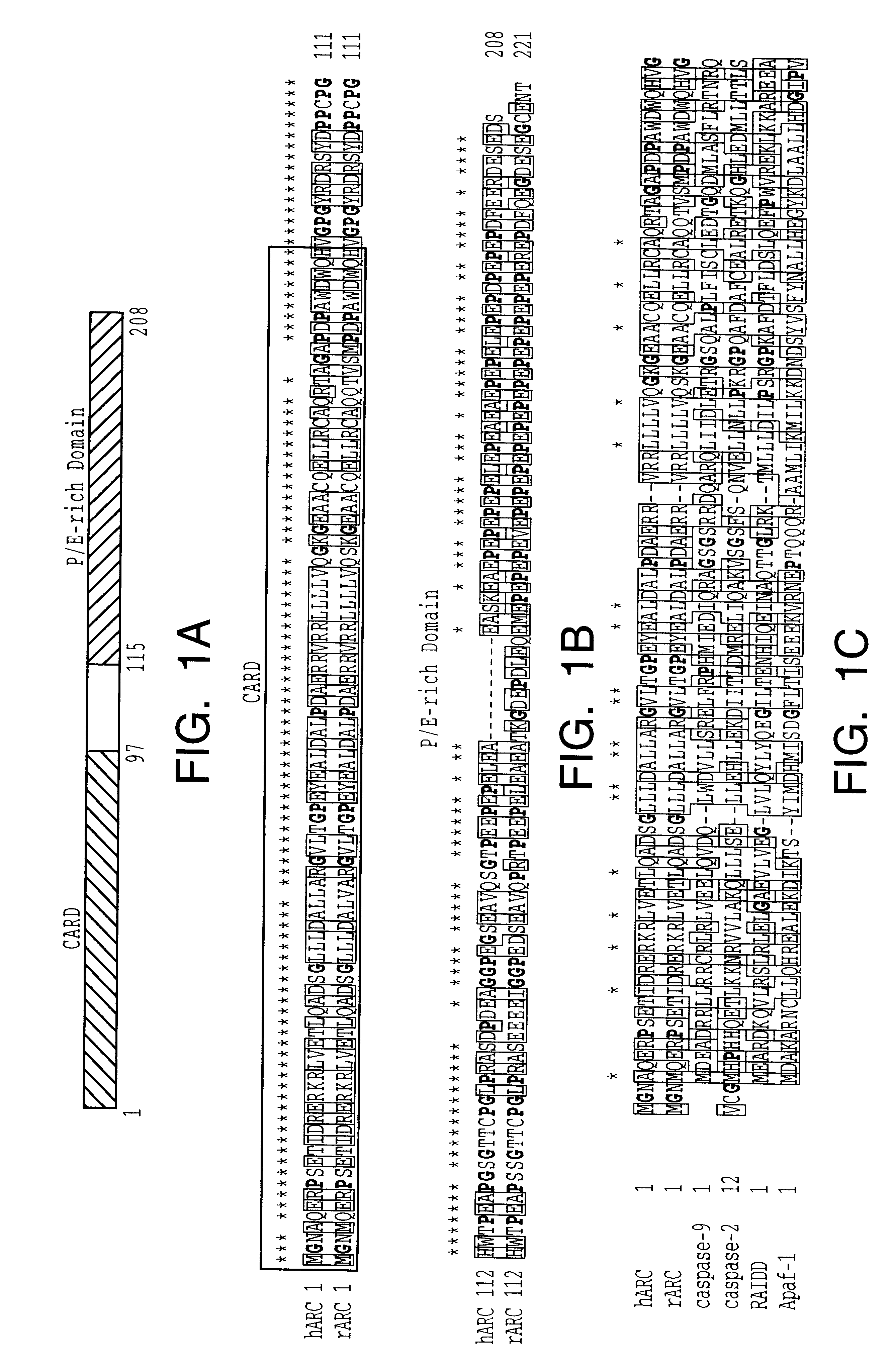 Compositions and methods for identifying apoptosis signaling pathway inhibitors and activators