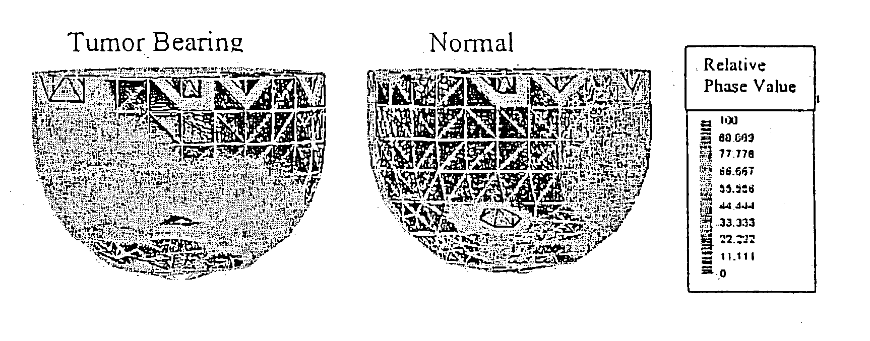 System and method for quantifying the dynamic response of a target system