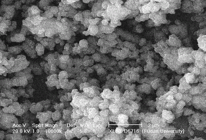 Polydopamine modified magnetic ball, synthetic method of nanomaterial by fixing Ti&lt;4+&gt; on the surface and application thereof