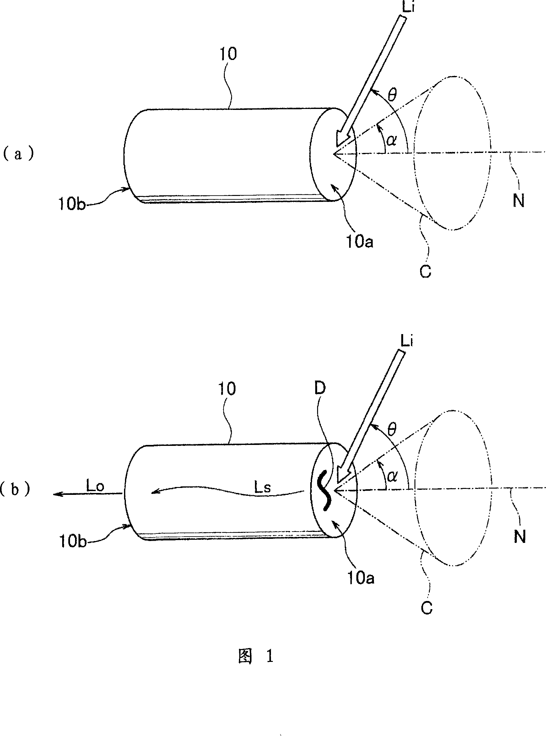 Rod type lens array detecting apparatus and method