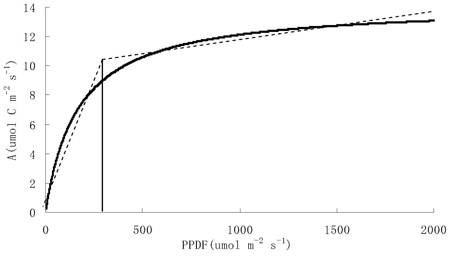 Day scale primary productivity estimation method based on photoresponse segmentation characteristics