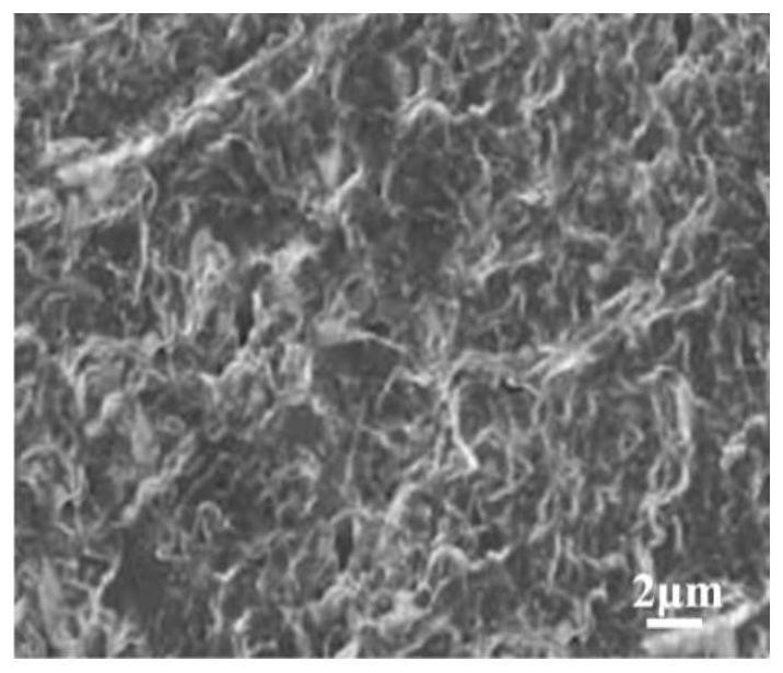 Dental restoration material for oral science and preparation method of dental restoration material