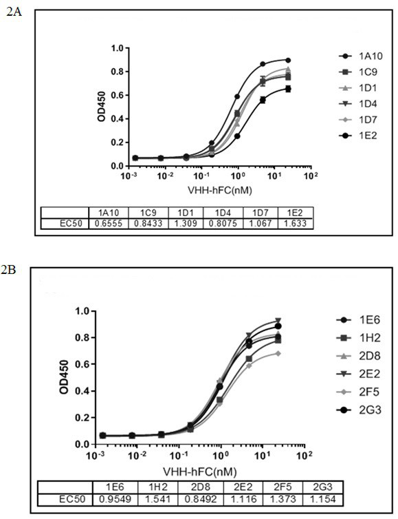 Anti-IL-17A single-domain antibody and application thereof