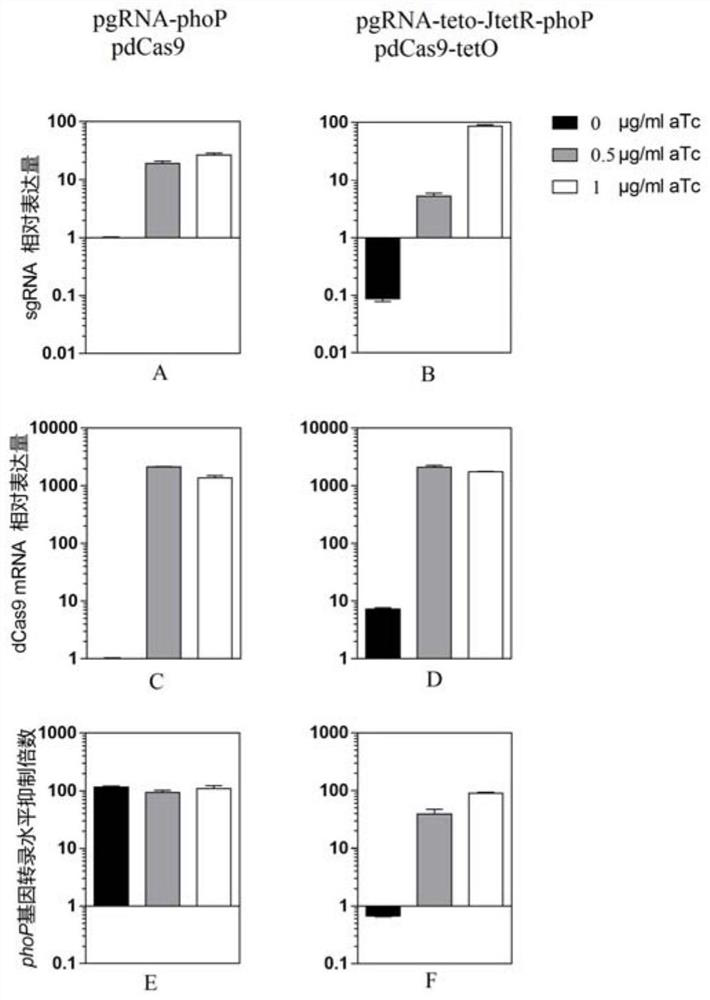 Plasmid for crispri system, method for its construction and application in targeted gene silencing of Yersinia pestis