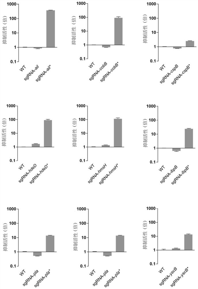 Plasmid for crispri system, method for its construction and application in targeted gene silencing of Yersinia pestis