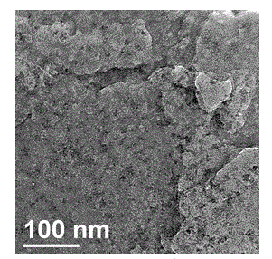 Electrochemical detection method of acetaminophen medicine by PEDOT (Polymer Ethylenedioxy Thiophene)/GO (Graphene Oxide)/GCE (Glassy Carbon Electrode)