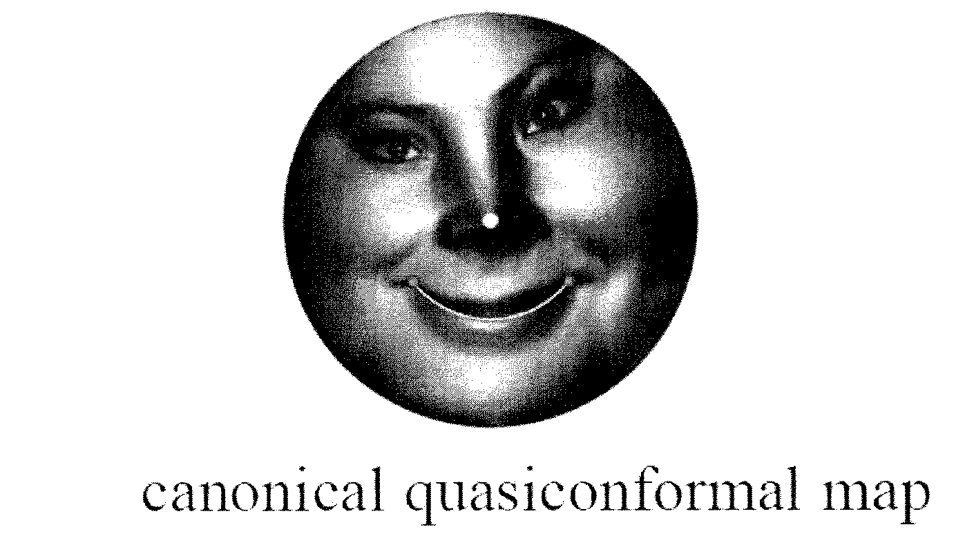 Systems and methods for shape analysis using landmark-driven quasiconformal mapping