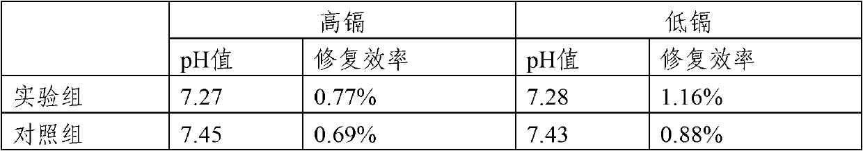 Rhizosphere regulating agent for increasing phytoremediation efficiency and application thereof