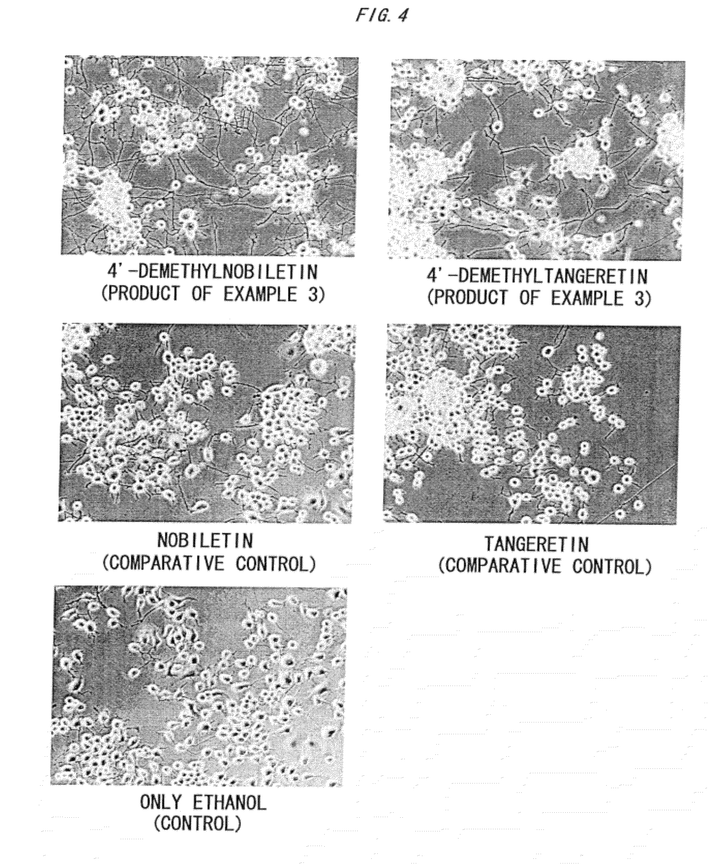 Neurite elongation agent, memory-improving agent and Anti-alzheimer agent comprising 4'-demethylnobiletin or 4'-demethyltangeretin as active ingredient, and process for production of the compound