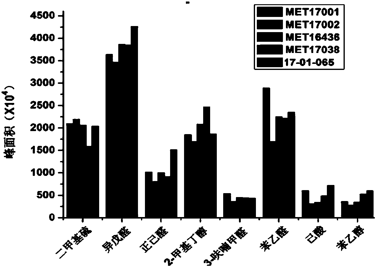 Malt making process and detection method of new-flavor malt for Pilsener beer