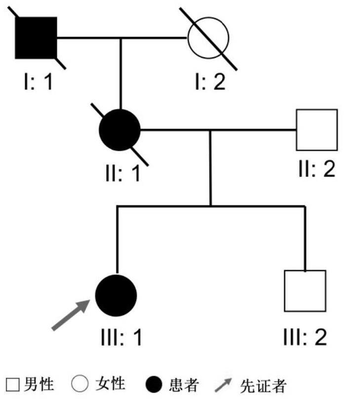 Marfan syndrome detection kit based on FBN1 gene insertion mutation