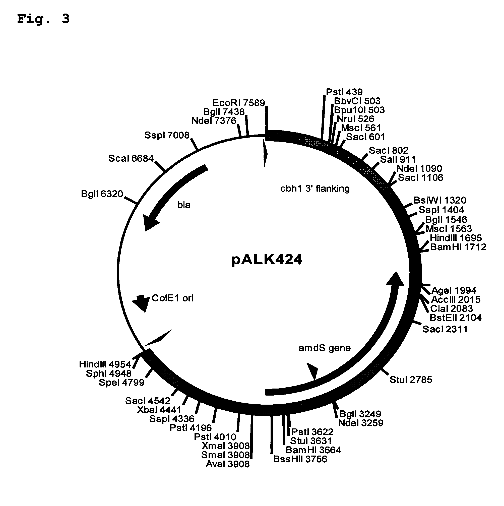 Novel Cellulases and Their Uses