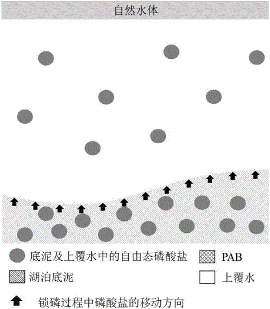 Lanthanum-modified graphene oxide, phosphate ion grid and methods for preparing lanthanum-modified graphene oxide and phosphate ion grid