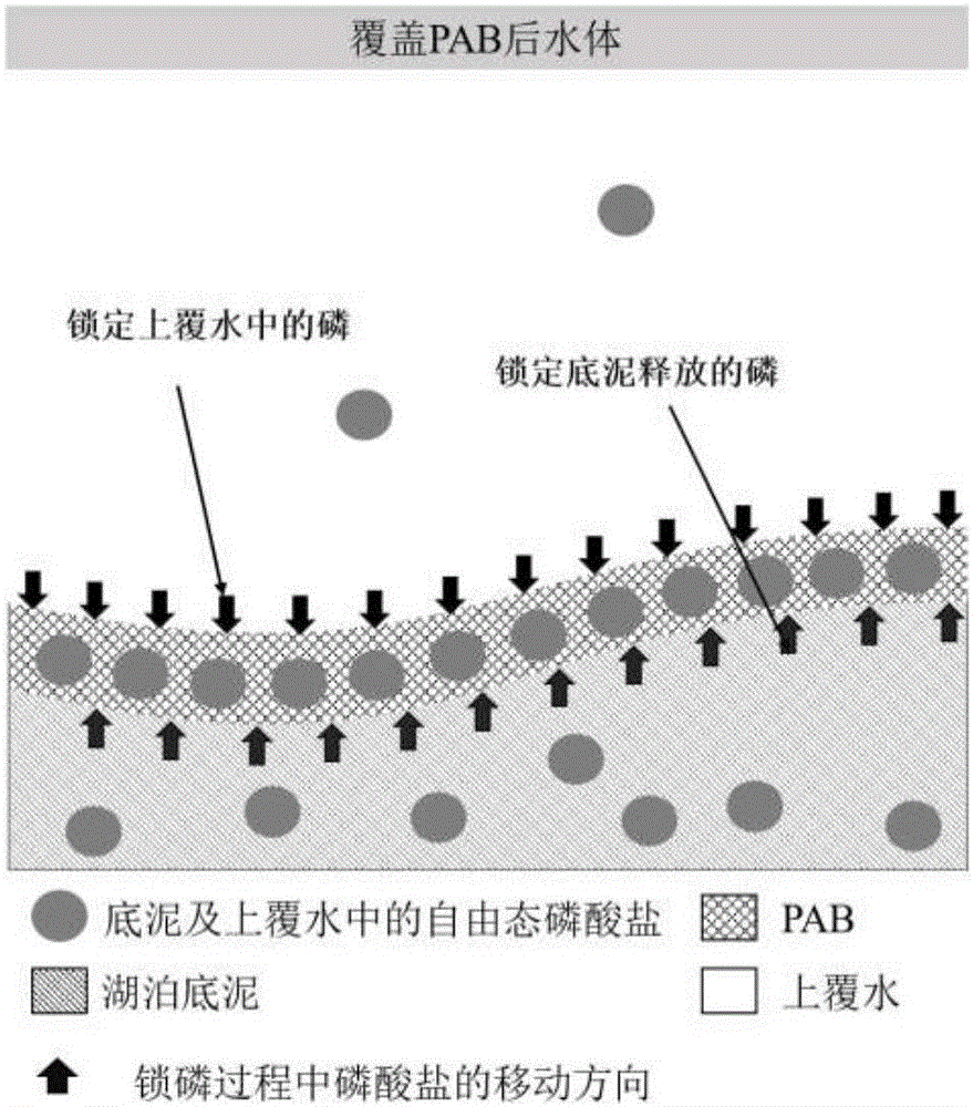 Lanthanum-modified graphene oxide, phosphate ion grid and methods for preparing lanthanum-modified graphene oxide and phosphate ion grid