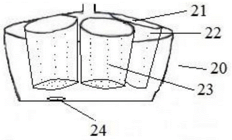 Plant oxygen-bar device