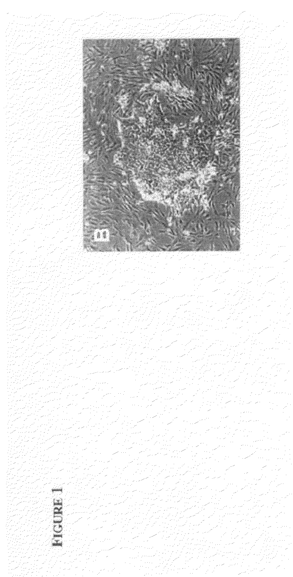 Derivation of embryonic stem cells