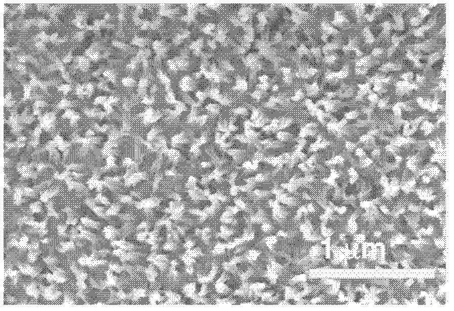 Glucose oxidase electrode, preparation method and application thereof