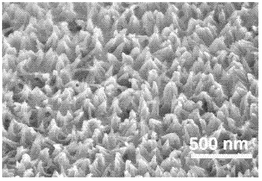 Glucose oxidase electrode, preparation method and application thereof