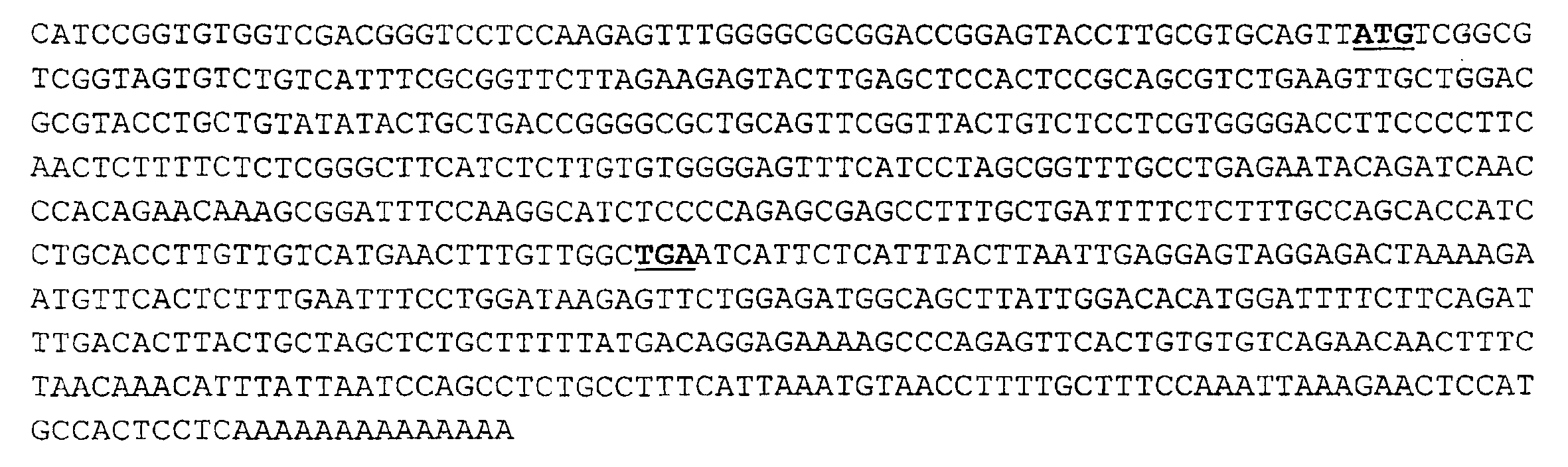 Compositions and methods for the treatment of immune related diseases