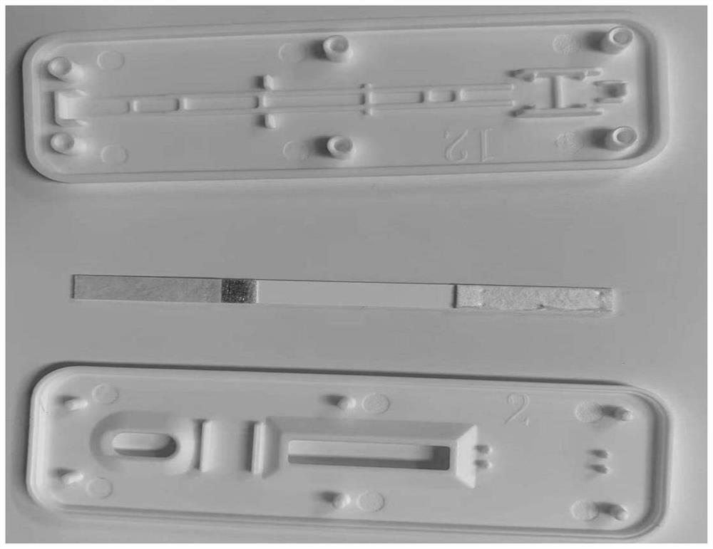 Novel coronavirus neutralizing antibody qualitative detection kit based on colloidal gold double-antibody sandwich method