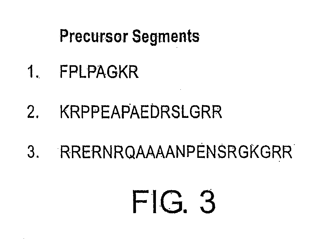 Amidated dopamine neuron stimulating peptides for CNS dopaminergic upregulation