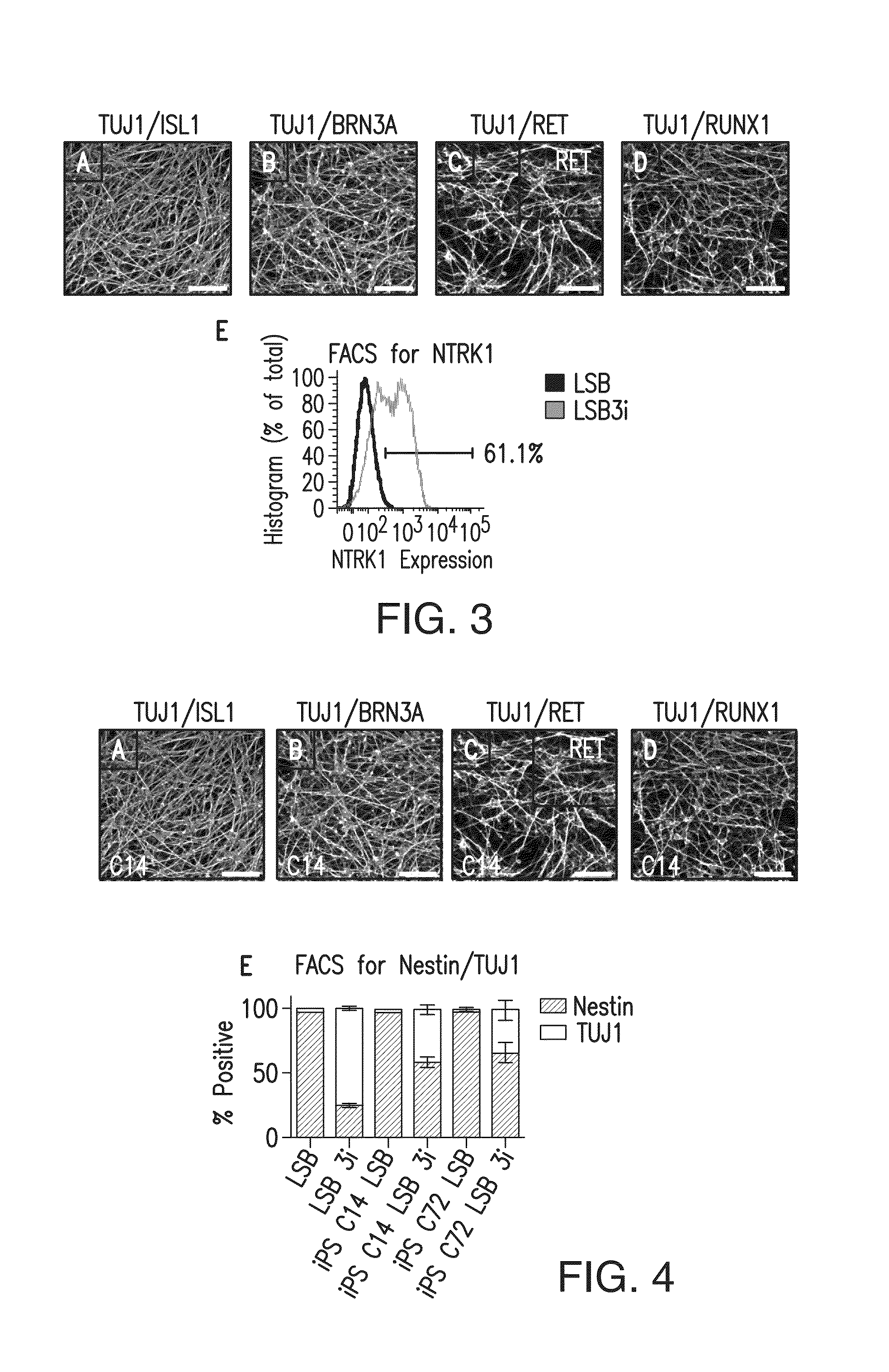 Method of nociceptor differentiation of human embryonic stem cells and uses thereof