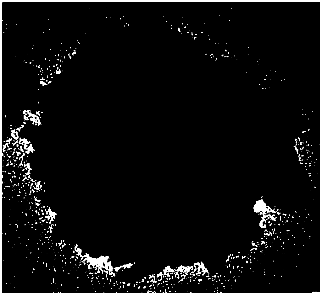 Chemical enhancement SERS substrate preparation method for regulating oxide defects