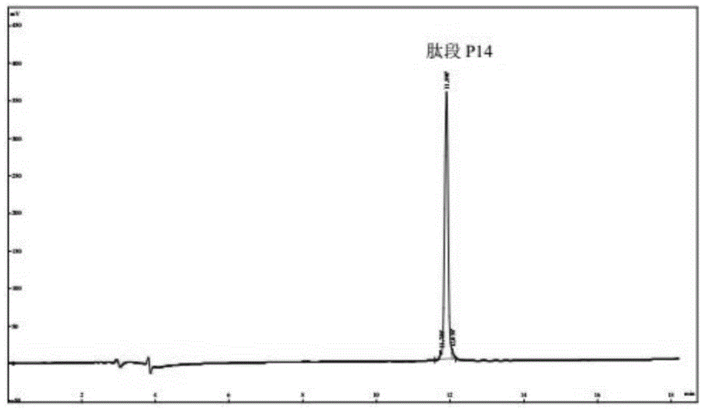 Antigen polypeptide and application of anti-GBM nephritis model built from same