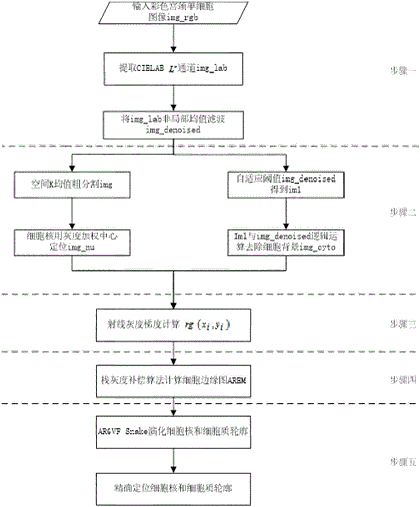 Cervix uteri single cell image segmentation algorithm