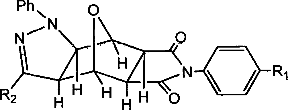 Pyrazolo N-substituted dehydronorcantharidin imide derivative as well as synthesis method, activity test method and application thereof