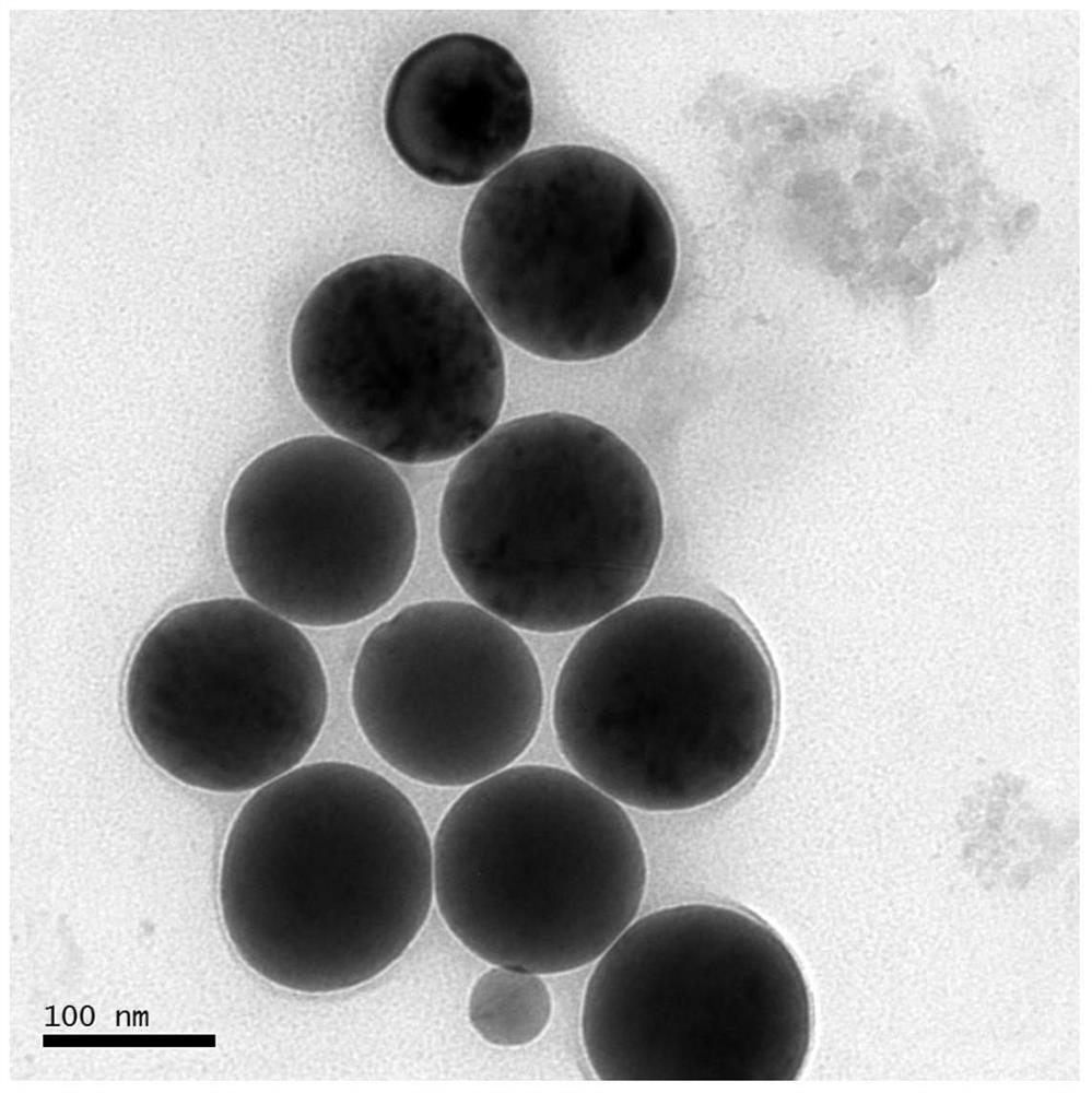 A method for preparing nano-red element selenium by endophytic Helix spirulina of tea tree