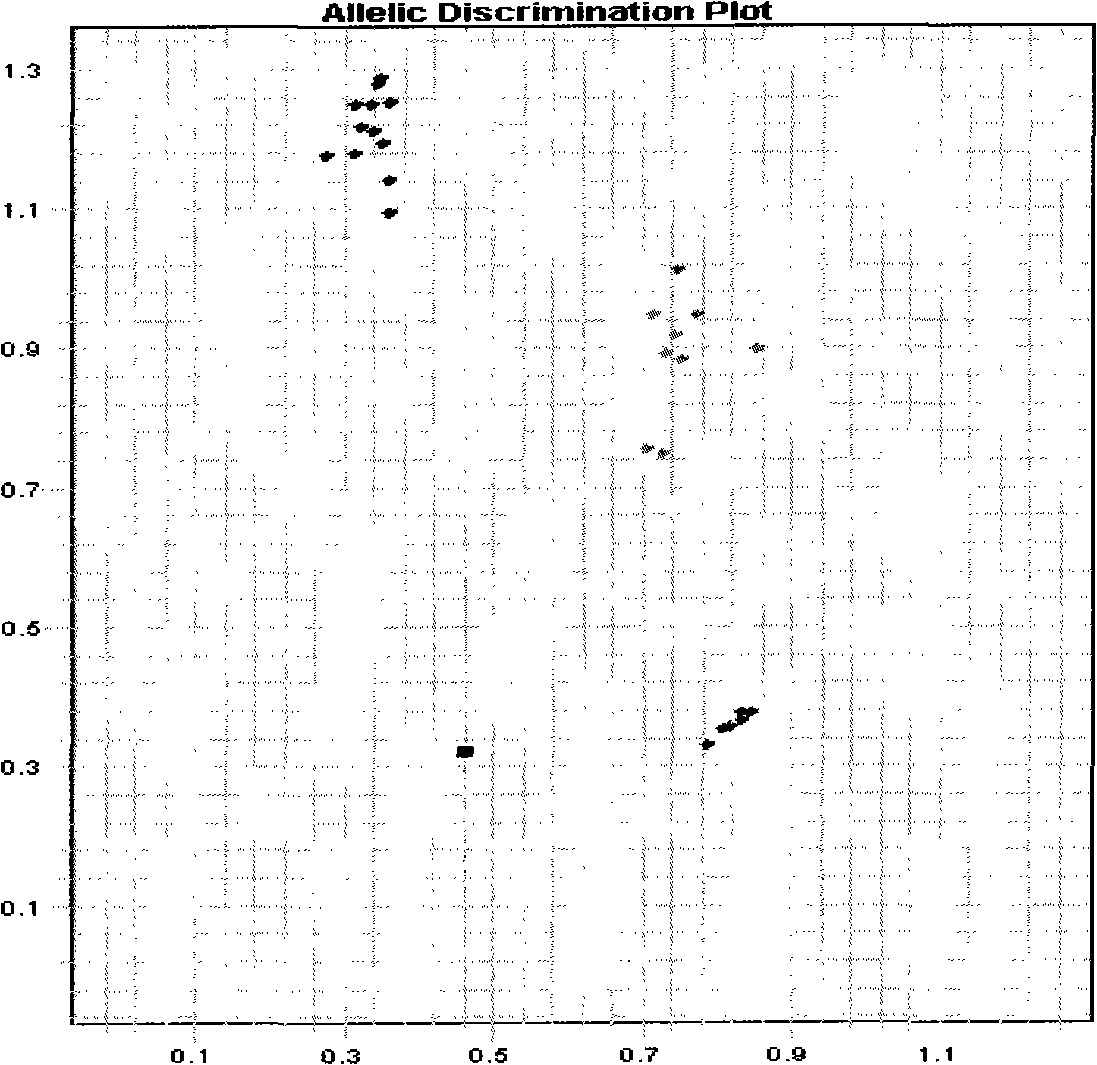 Method for evaluating DNA damage repair ability genetic risk