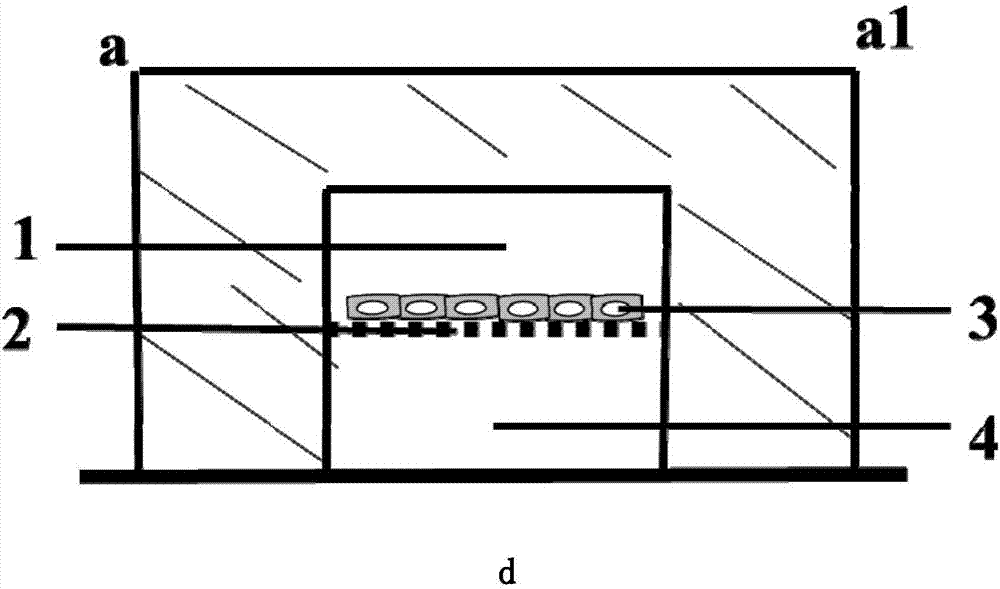 Construction method of bionic intestinal model based on micro-fluidic technology