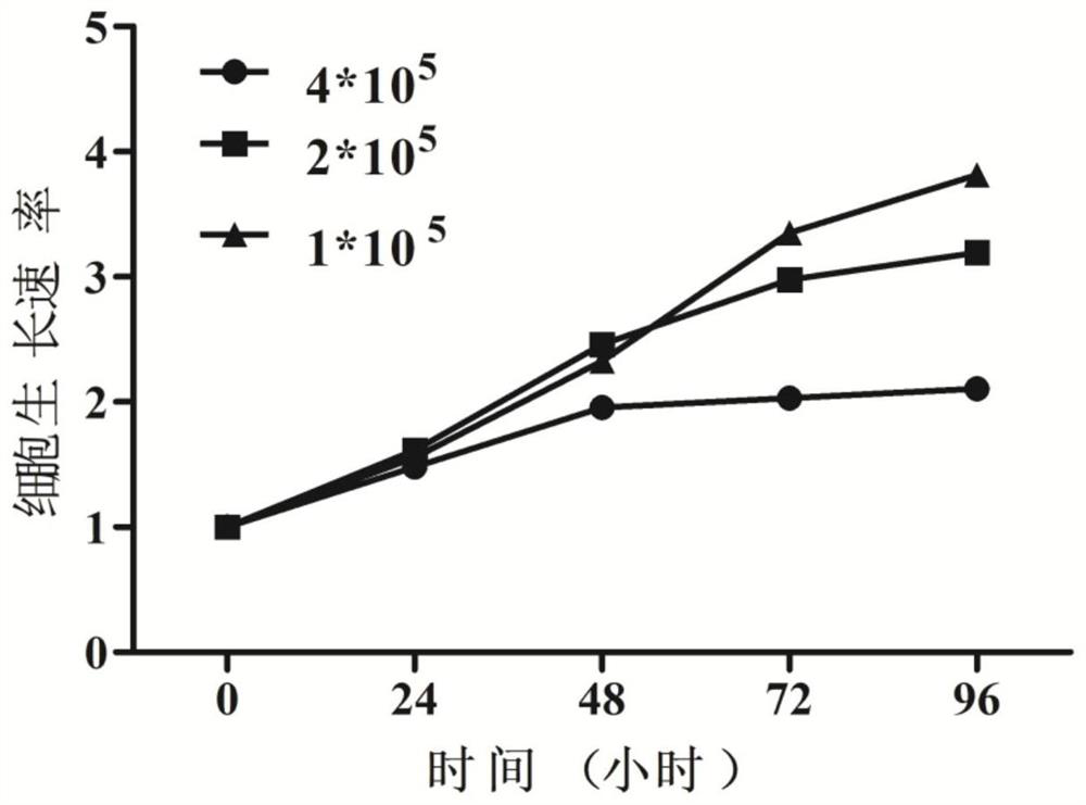 Human primary myelofibrosis cell strain and application thereof