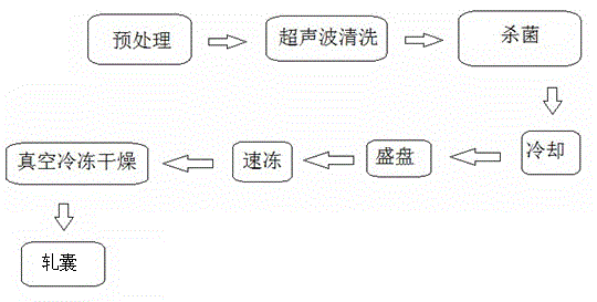 Preparation method for freeze-dried bamboo weevil health care products