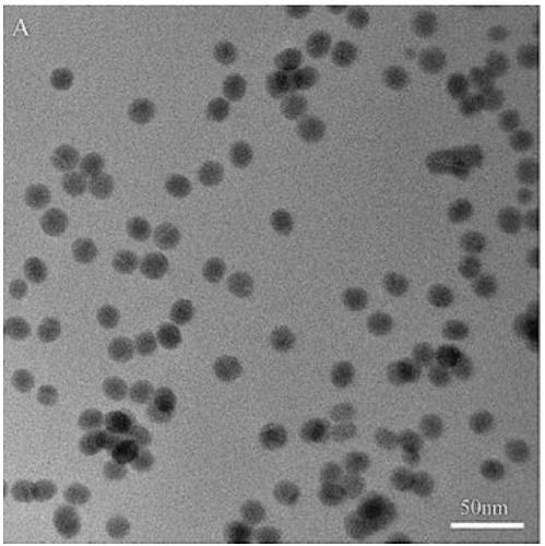 Graphene quantum dot-rare earth up-conversion nano composite material as well as preparation method and application thereof